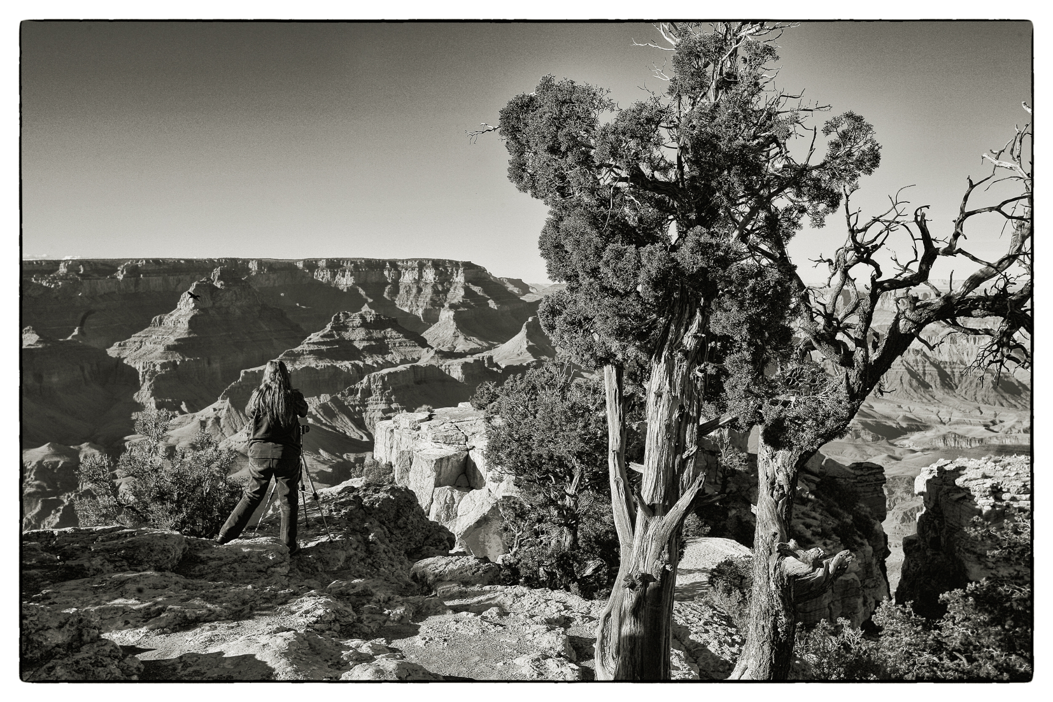 Grand Canyon 1